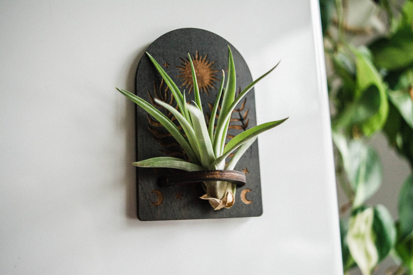 Sun, Moon, Stars & Ferns Wooden Airplant Holder Magnet: Without Airplant / Natural Wood