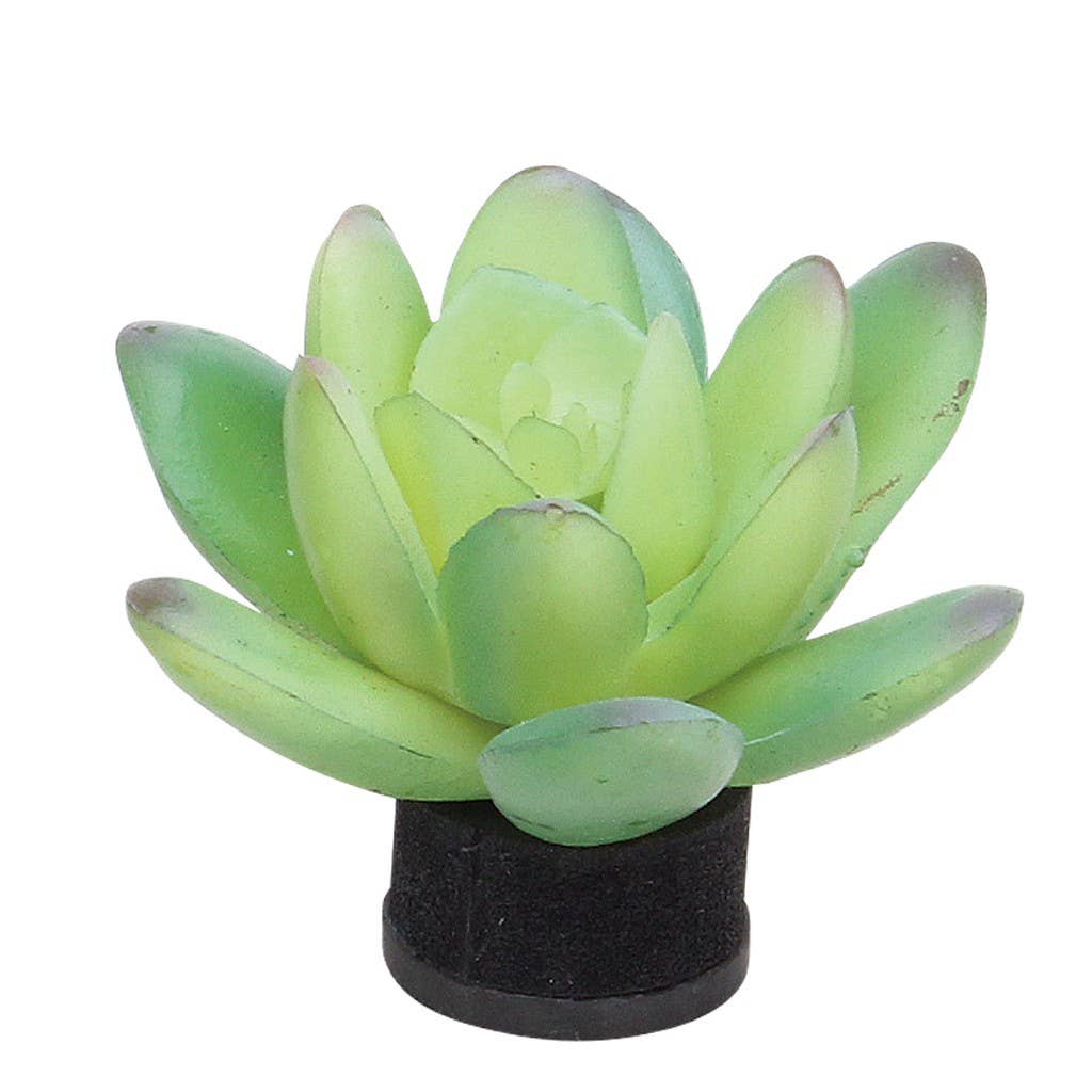 Botanical Magnet Cactus