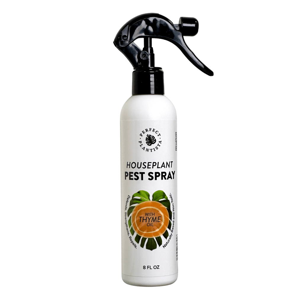Natural + Non-Toxic Houseplant Pest Spray
