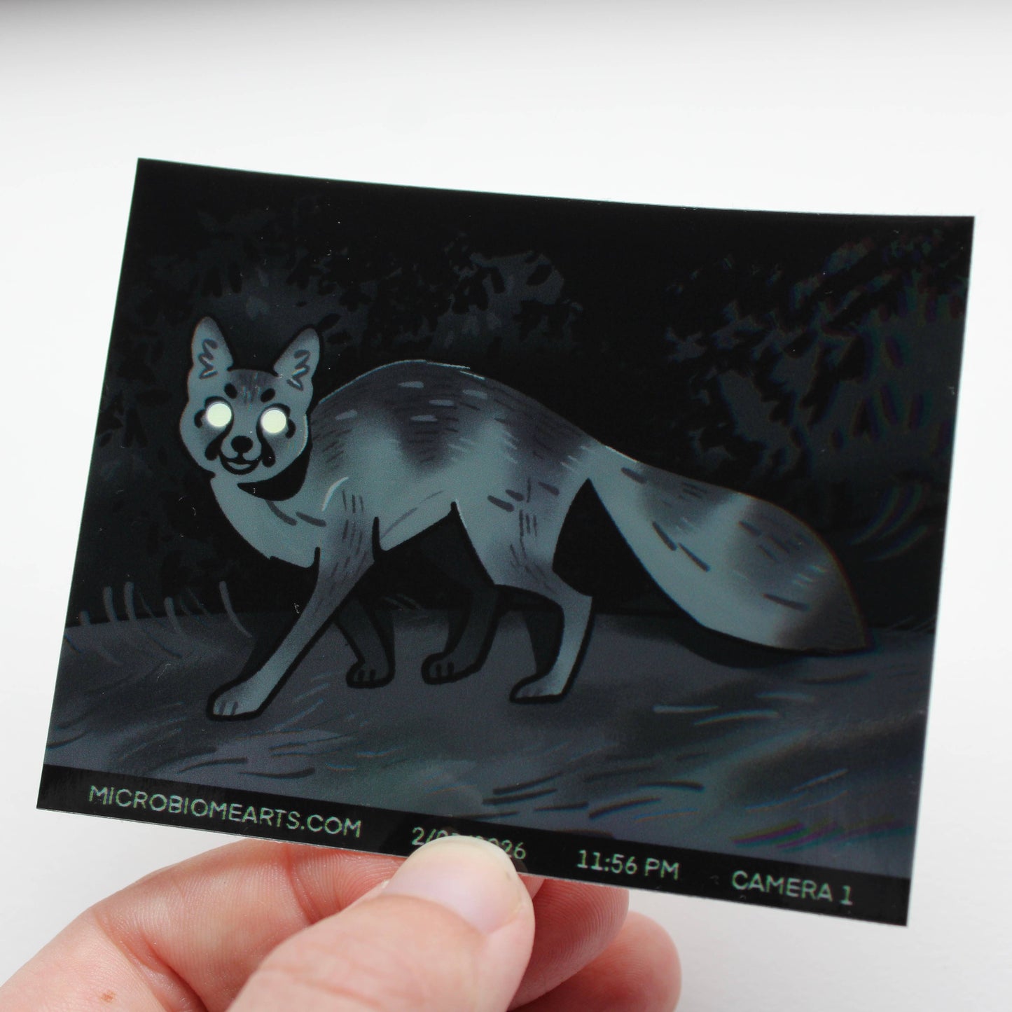 Trail Cam Fox Holo 3.5” Sticker
