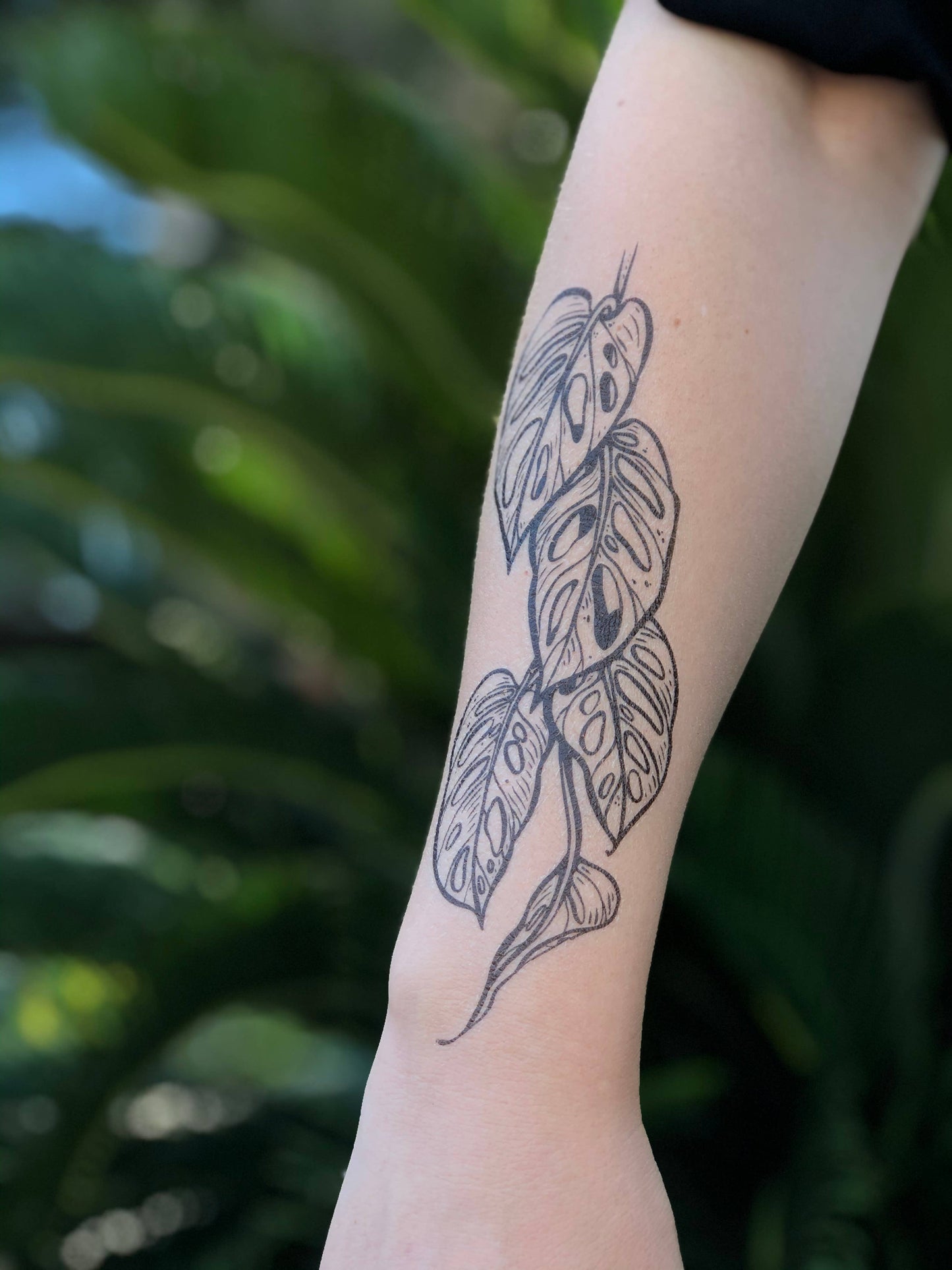 Monstera Vine Temporary Tattoo: 1-Pack