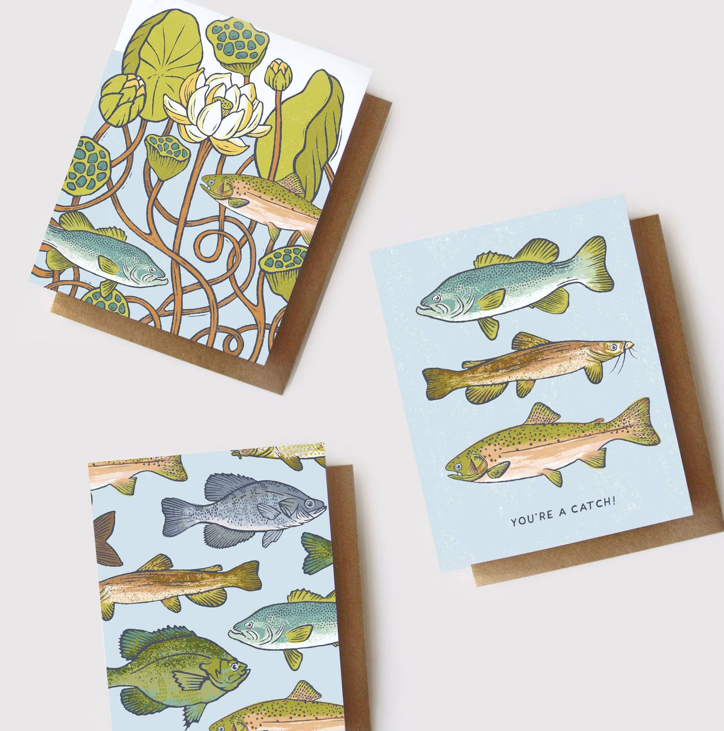 Freshwater Fishes Everyday Greeting Card: Clear Sleeve