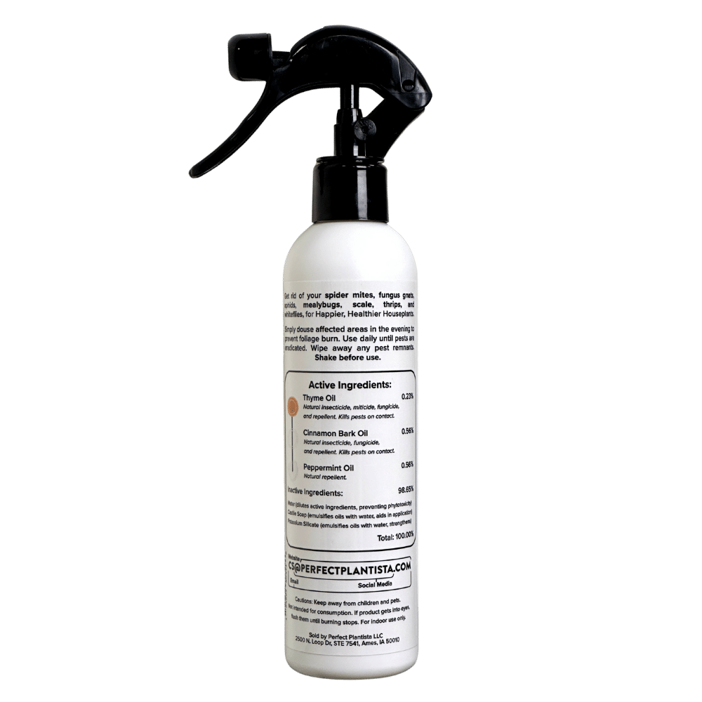 Natural + Non-Toxic Houseplant Pest Spray