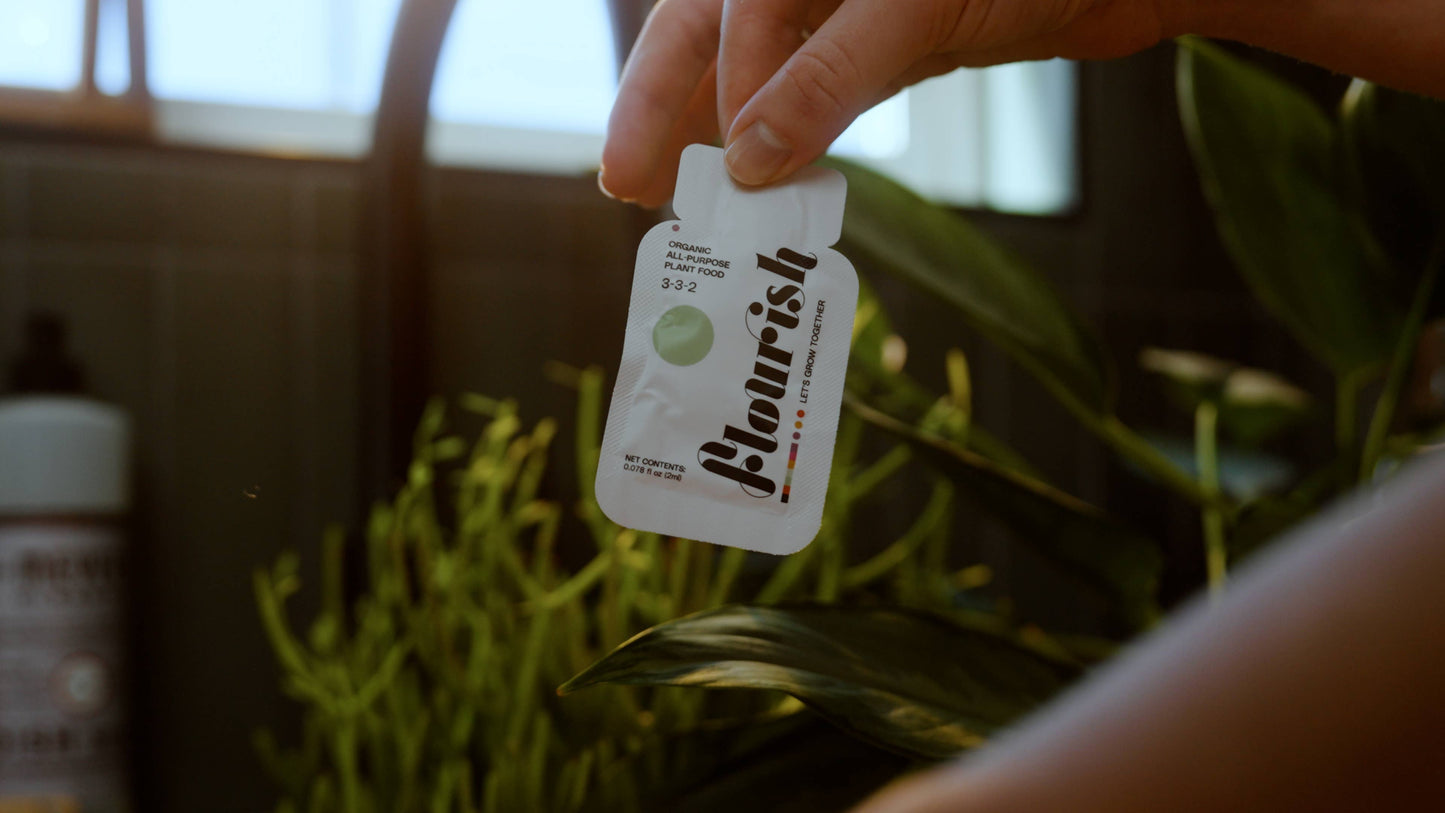 Flourish Organic Plant Food, Single Packet Fertilizer