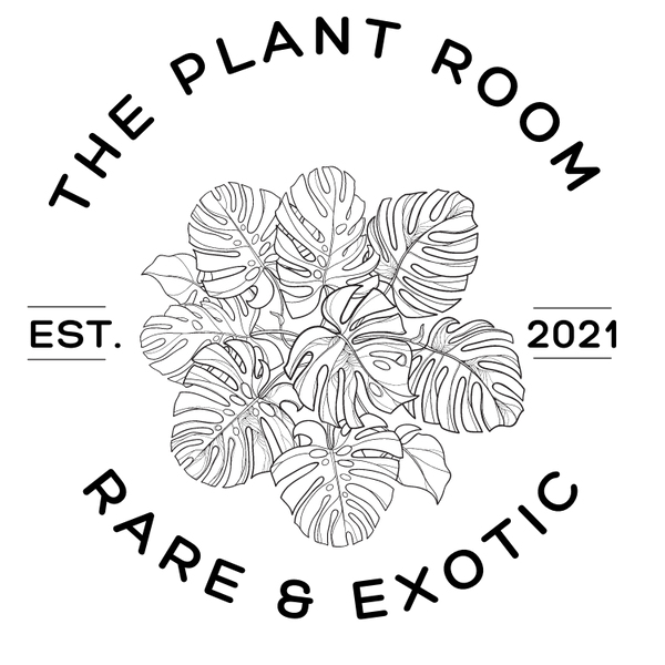 The Plant Room logo