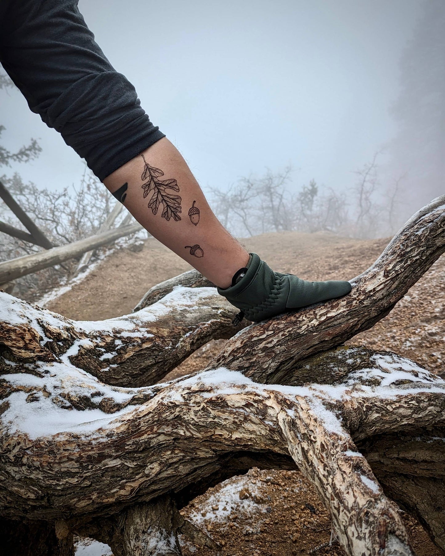 Acorn and Oak Leaves Temporary Tattoo: 1-Pack