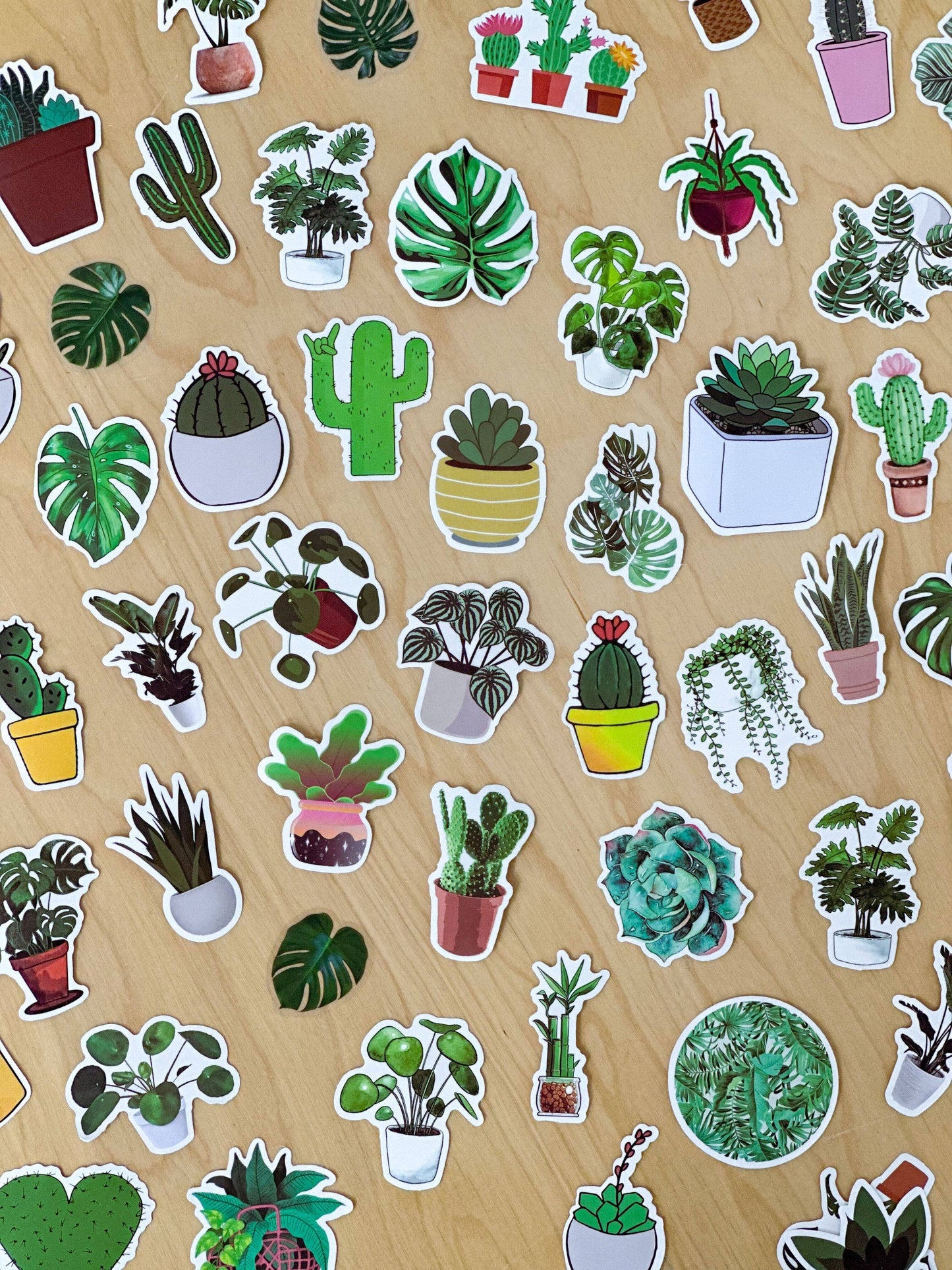 Plant Sticker Pack | Houseplant Sticker Mystery Pack