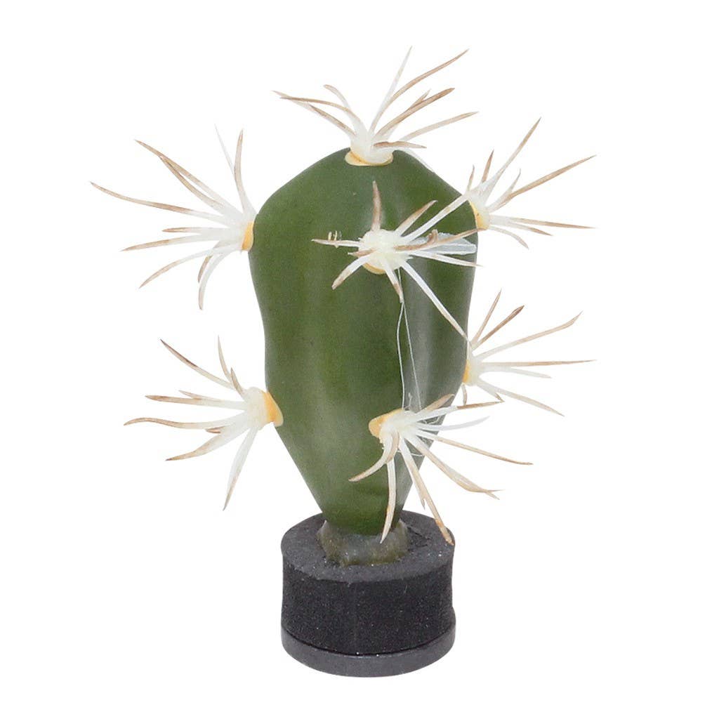 Botanical Magnet Cactus