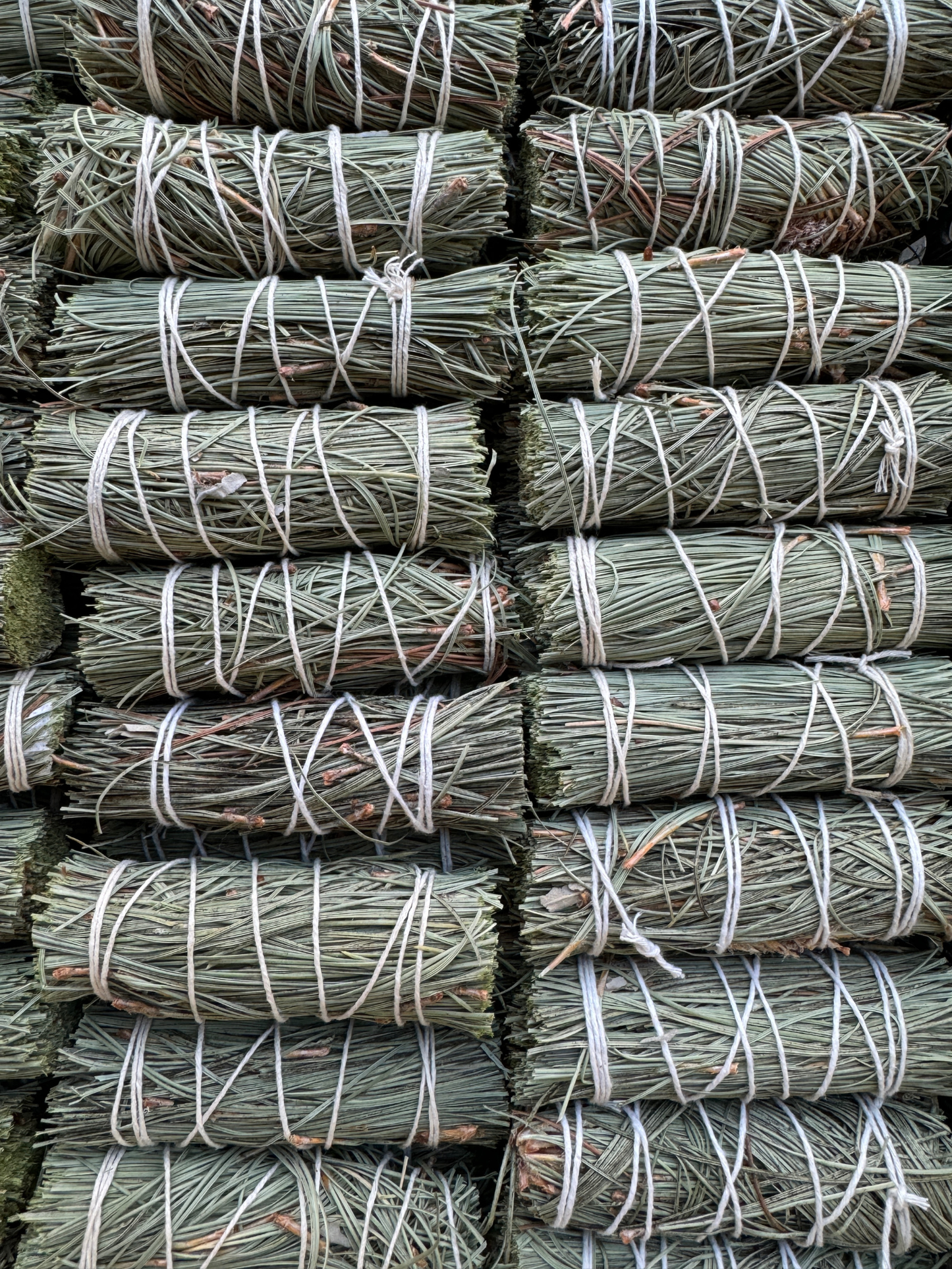 Pine Herb Wands