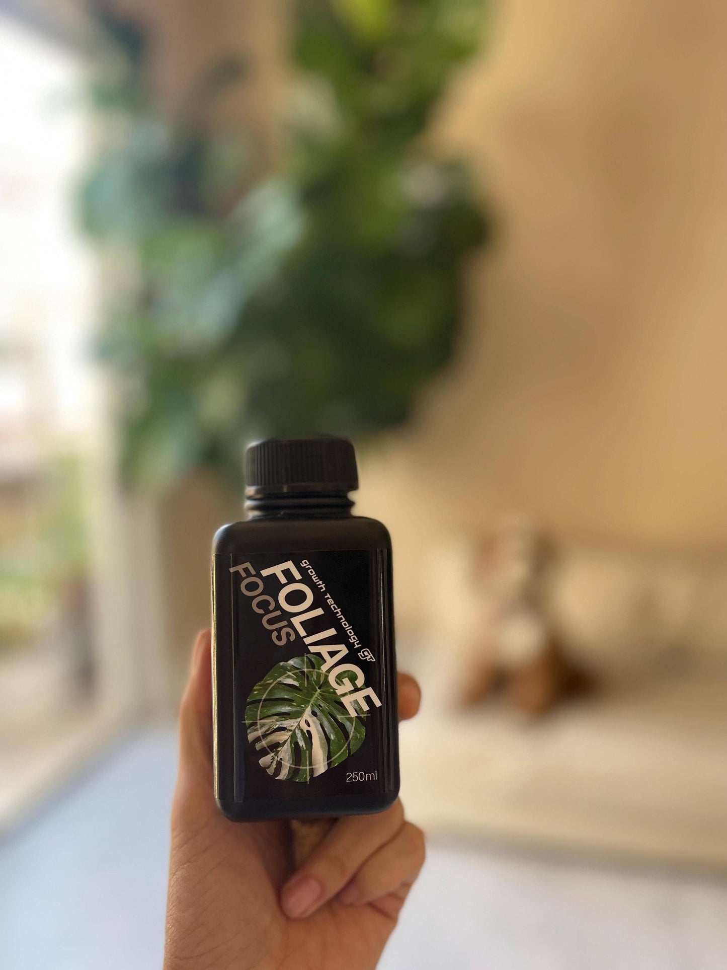 Growth Technology GT Focus Plant Nutrients (250 ml Size): 250 ml / Foliage