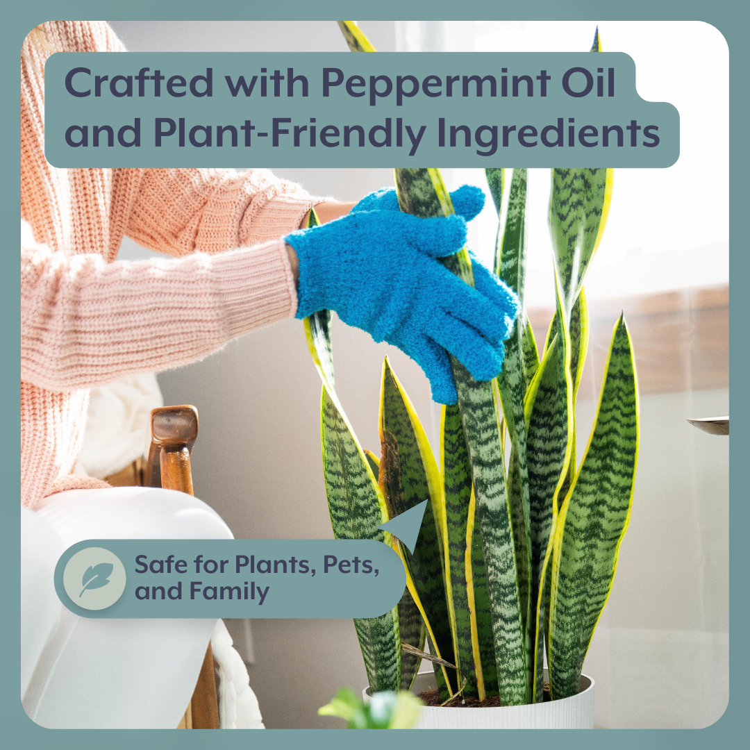 Natural Houseplant Pest Control - Peppermint Leaf Spray