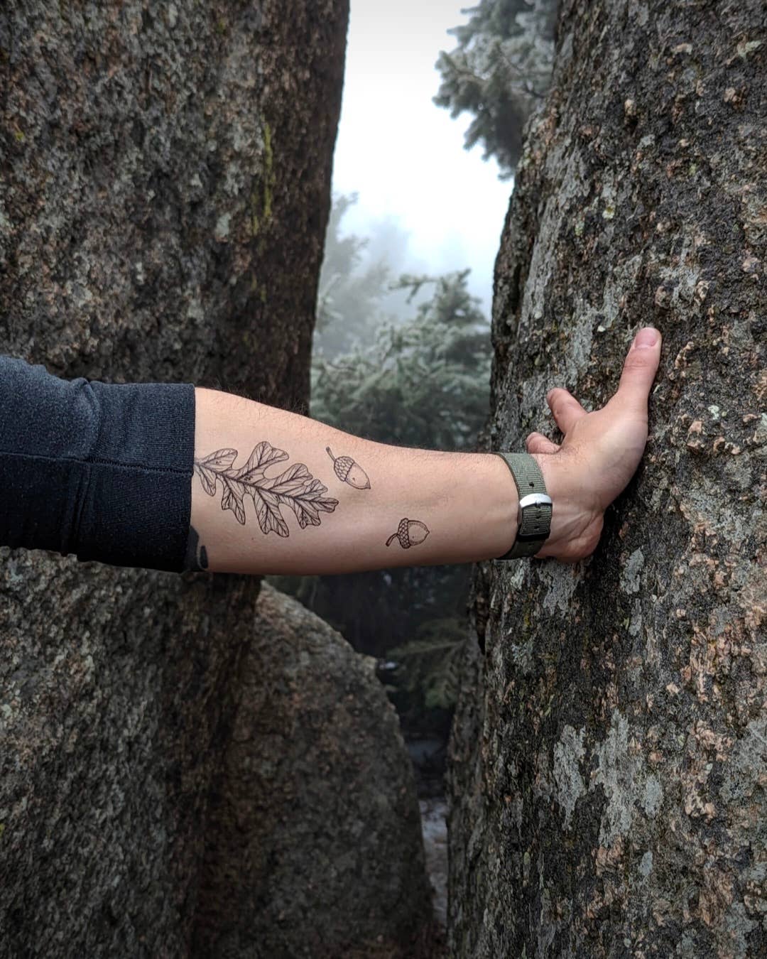 Acorn and Oak Leaves Temporary Tattoo: 1-Pack