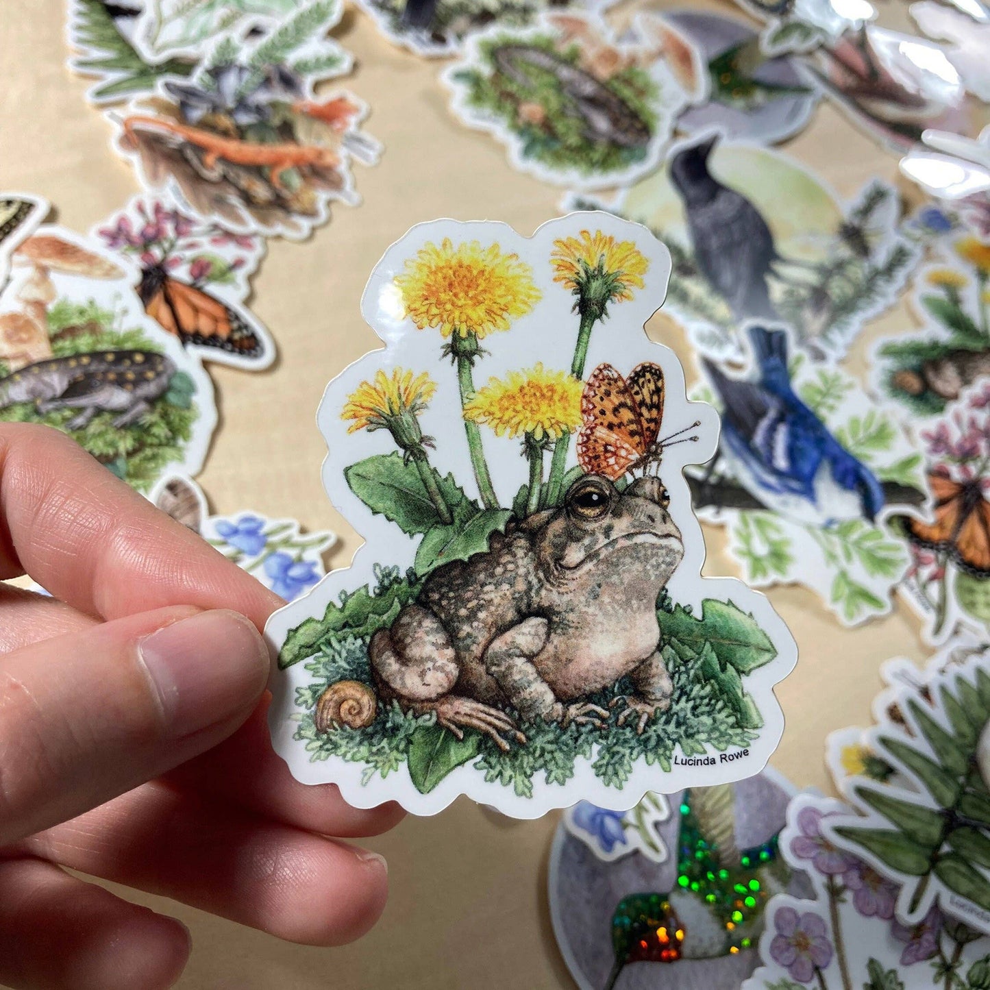 Vinyl Sticker - Fowler's Toad With Dandelions And Butterfly