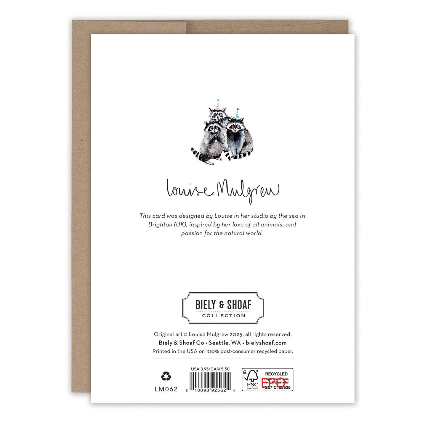 Raccoons Snacks Birthday Card