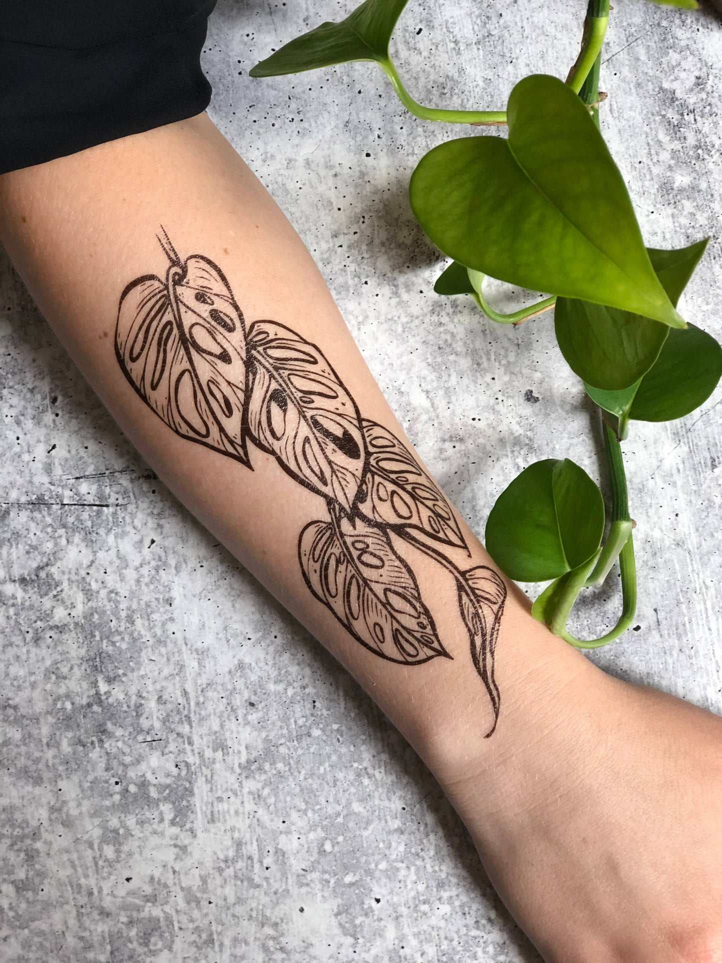 Monstera Vine Temporary Tattoo: 1-Pack