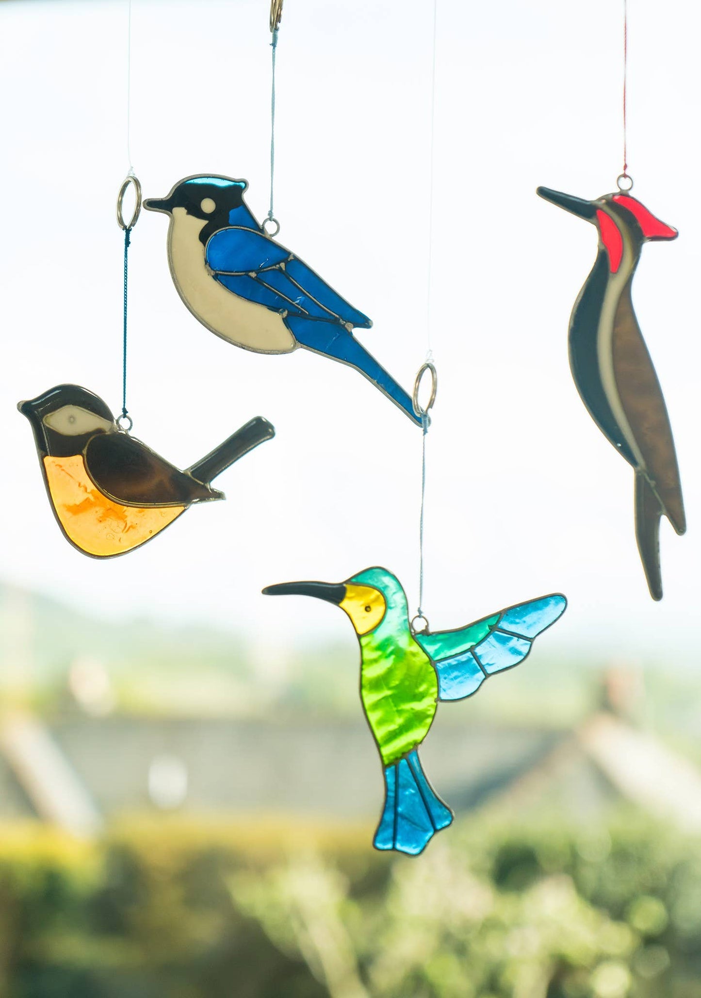 Blue Jay Suncatcher