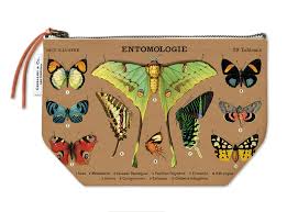 Entomology Pouch