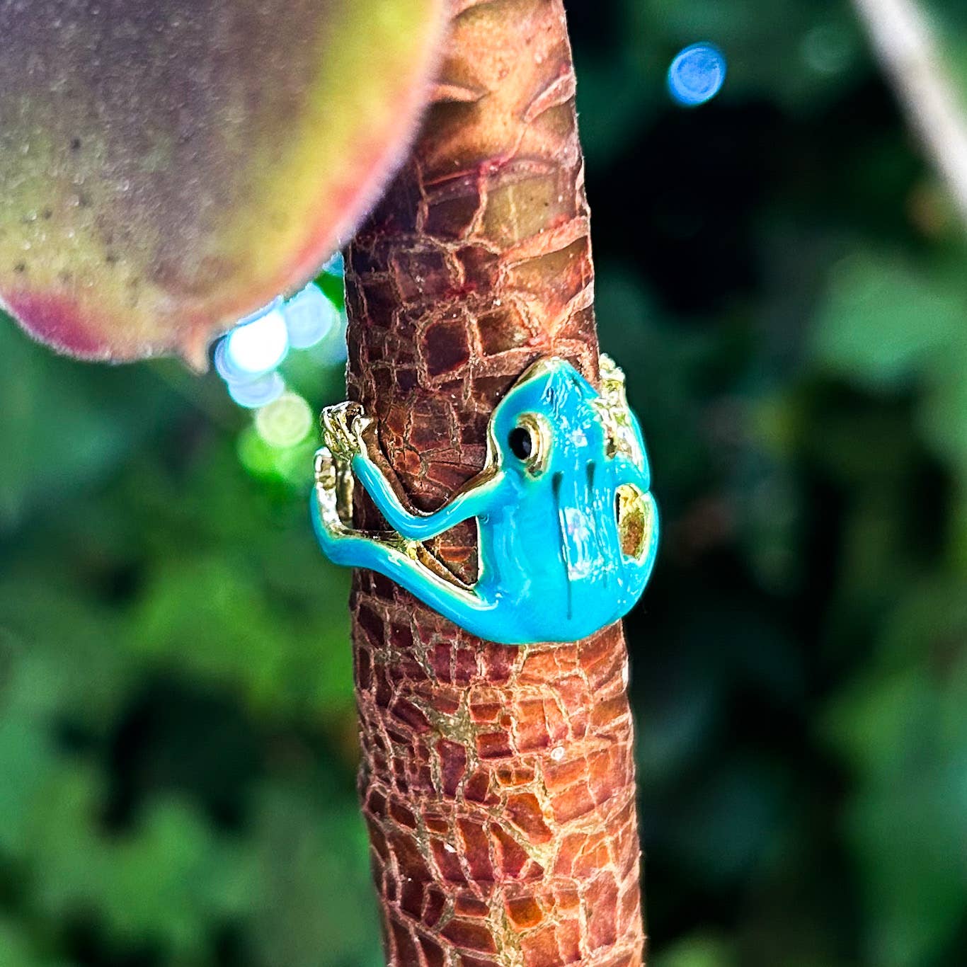 Frog Rings