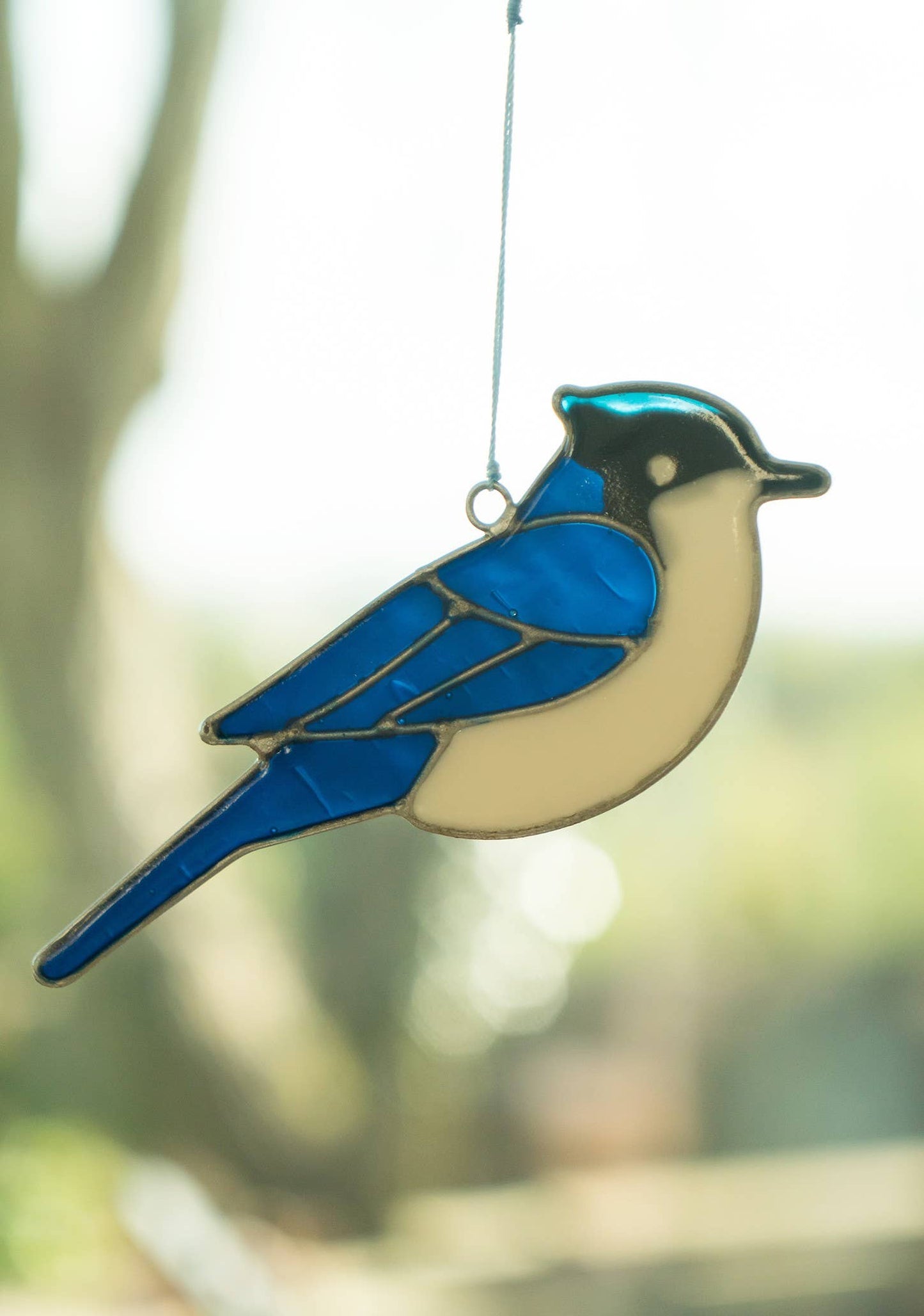 Blue Jay Suncatcher