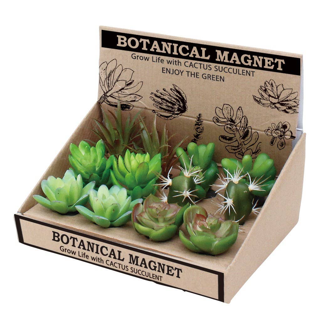 Botanical Magnet Cactus
