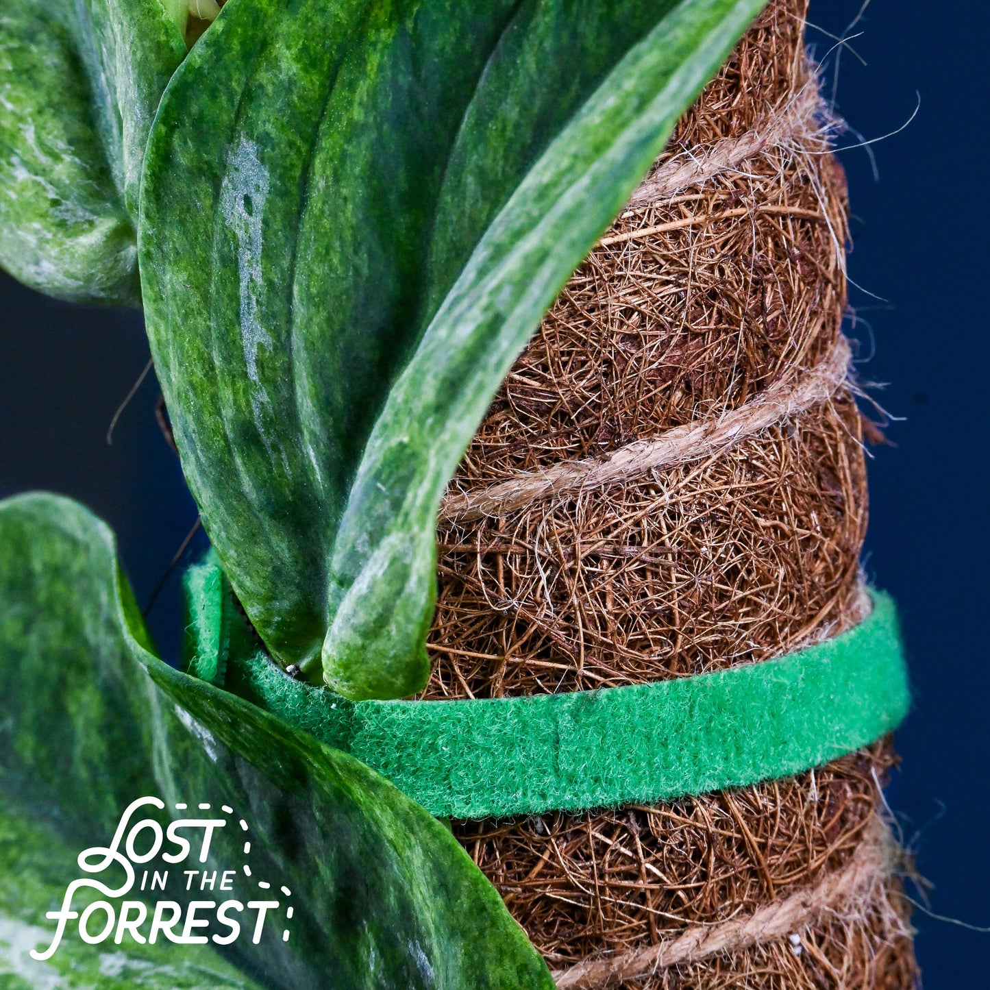 Green Velcro Tie 2 Meters per Roll/ 6.5 Feet