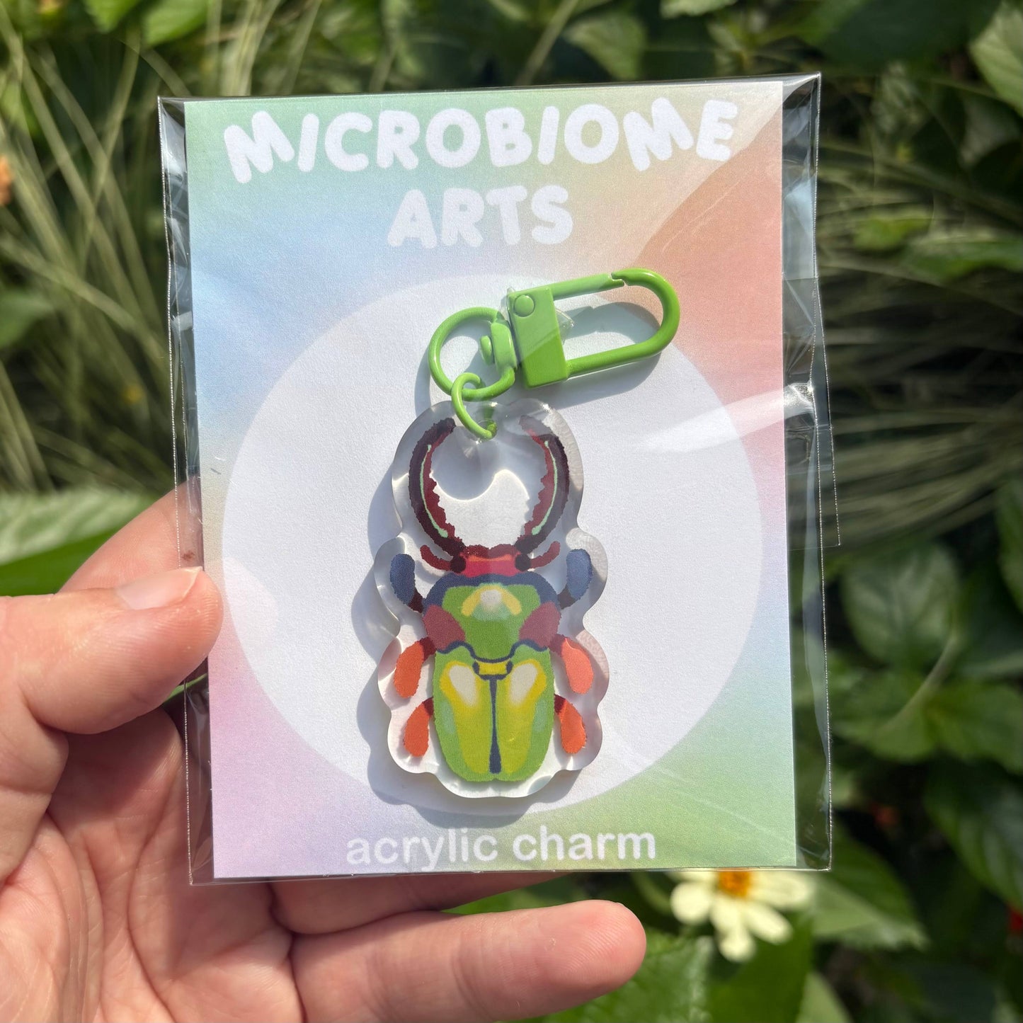 Sawtooth Stag Beetle Acrylic Charm