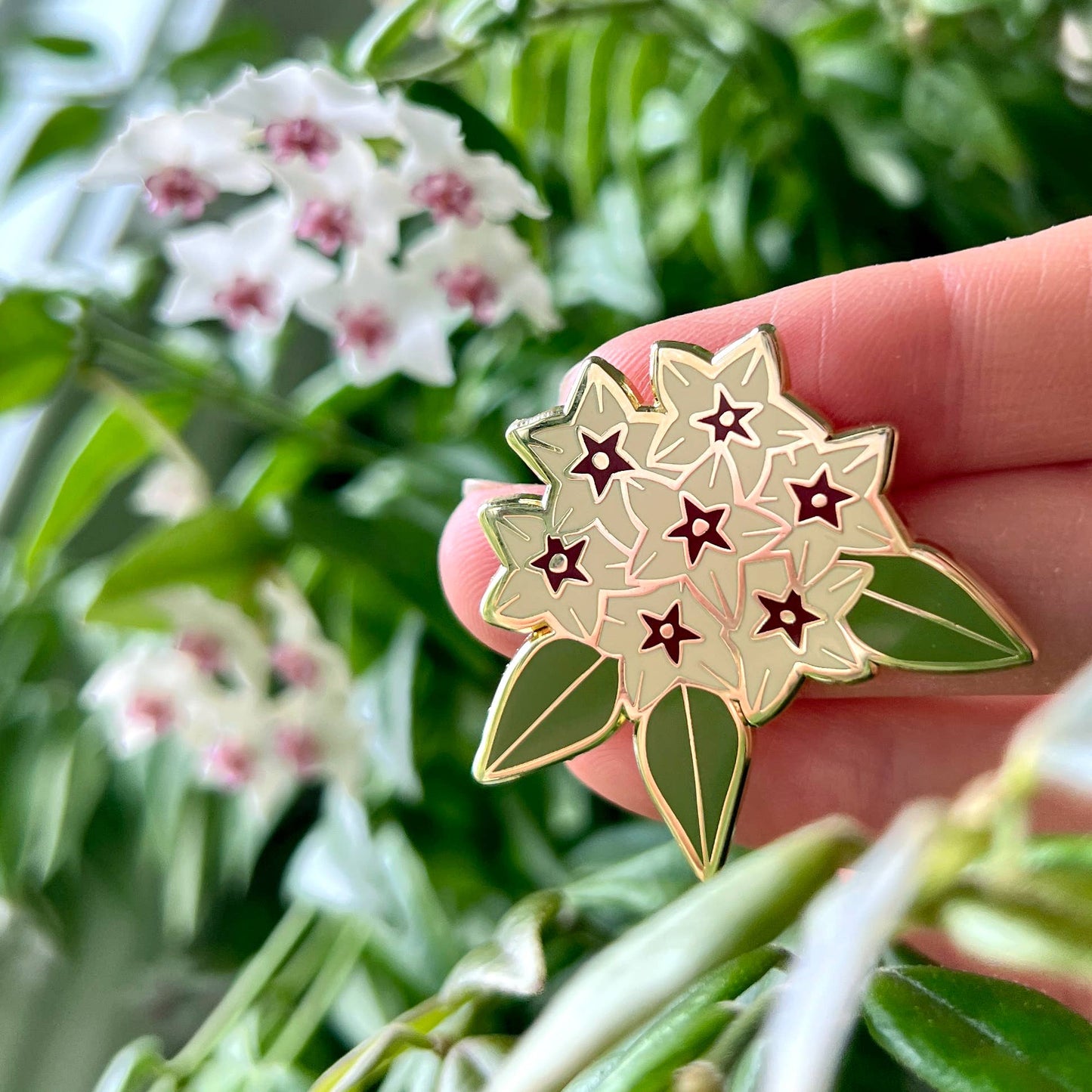 Enamel Pin - Hoya Bella Bloom