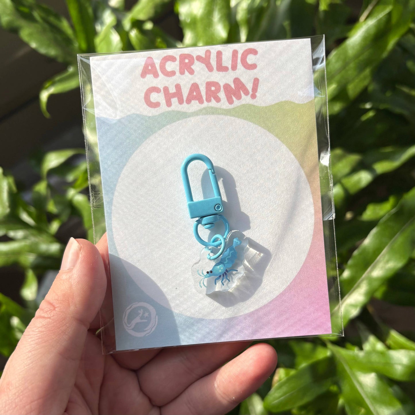 Miniature Shrimp 1” Acrylic Charms