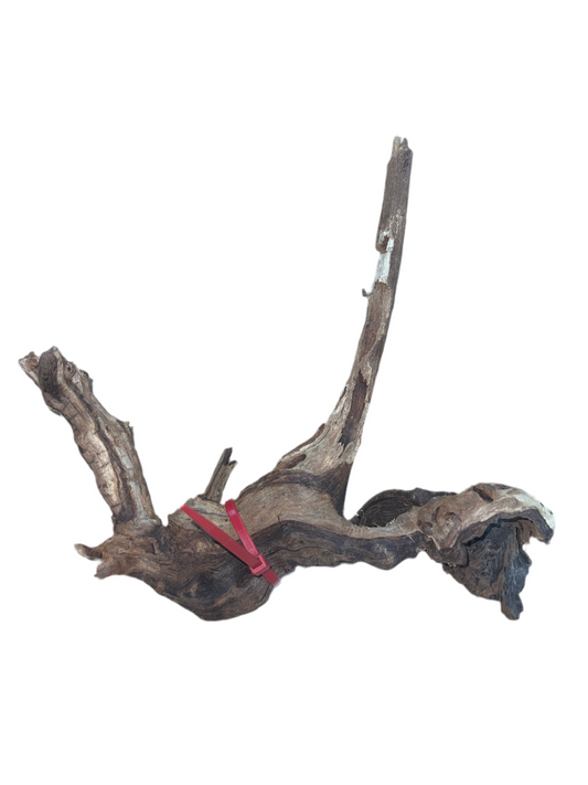 Mopani Wood- Small