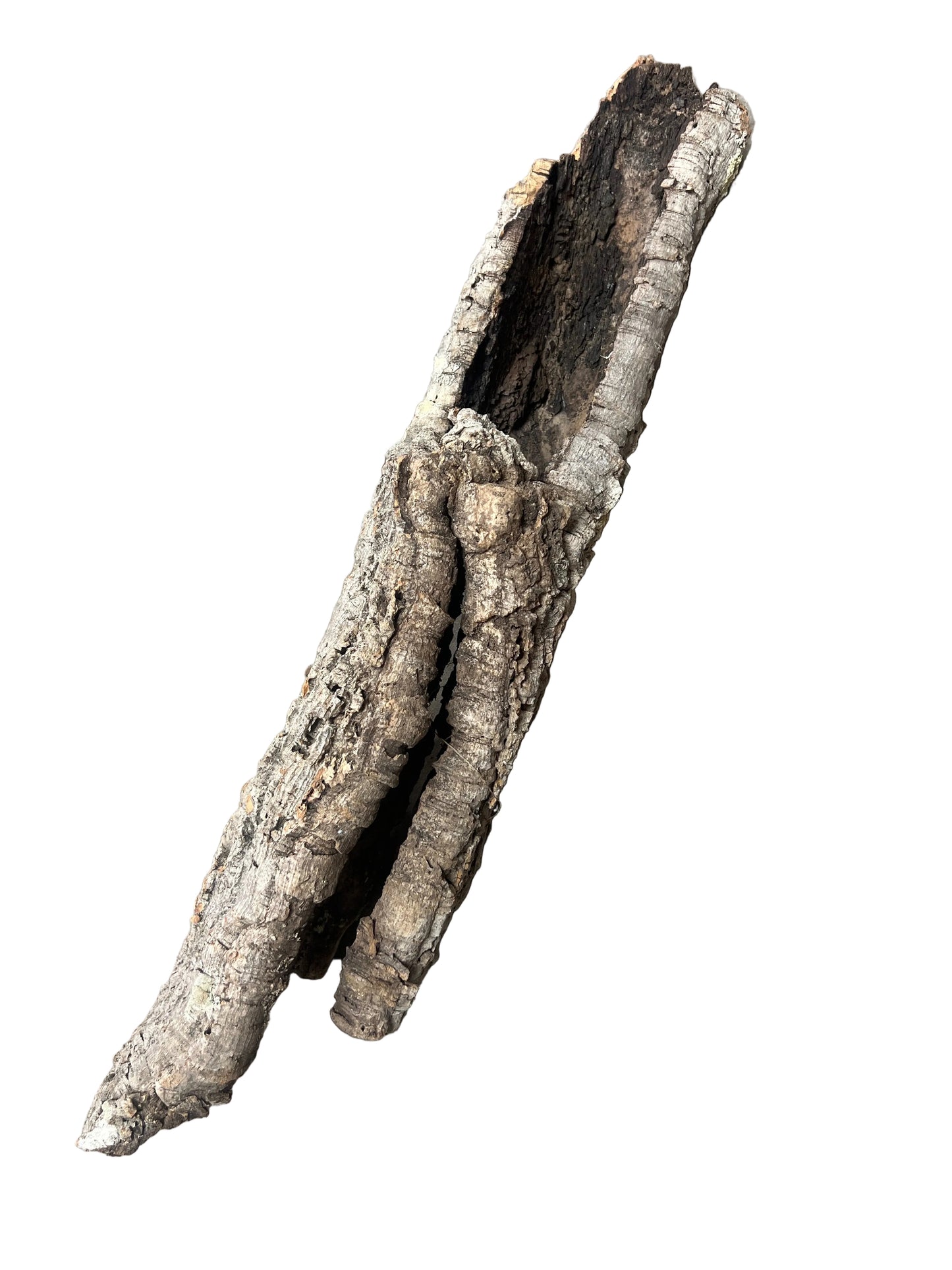 Cork Bark Tube- Large