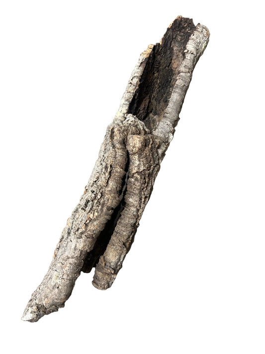 Cork Bark Tube- Large