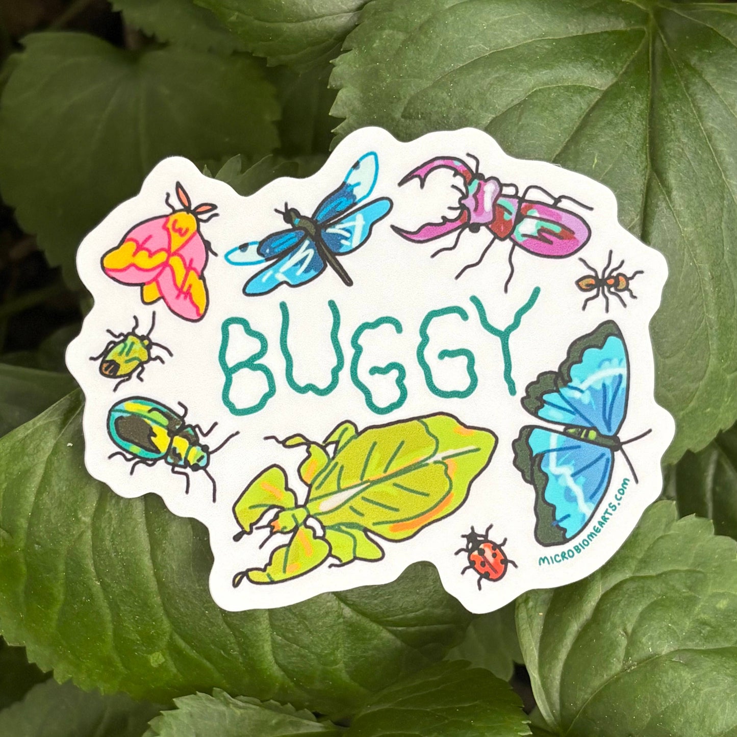 Buggy 3” Sticker