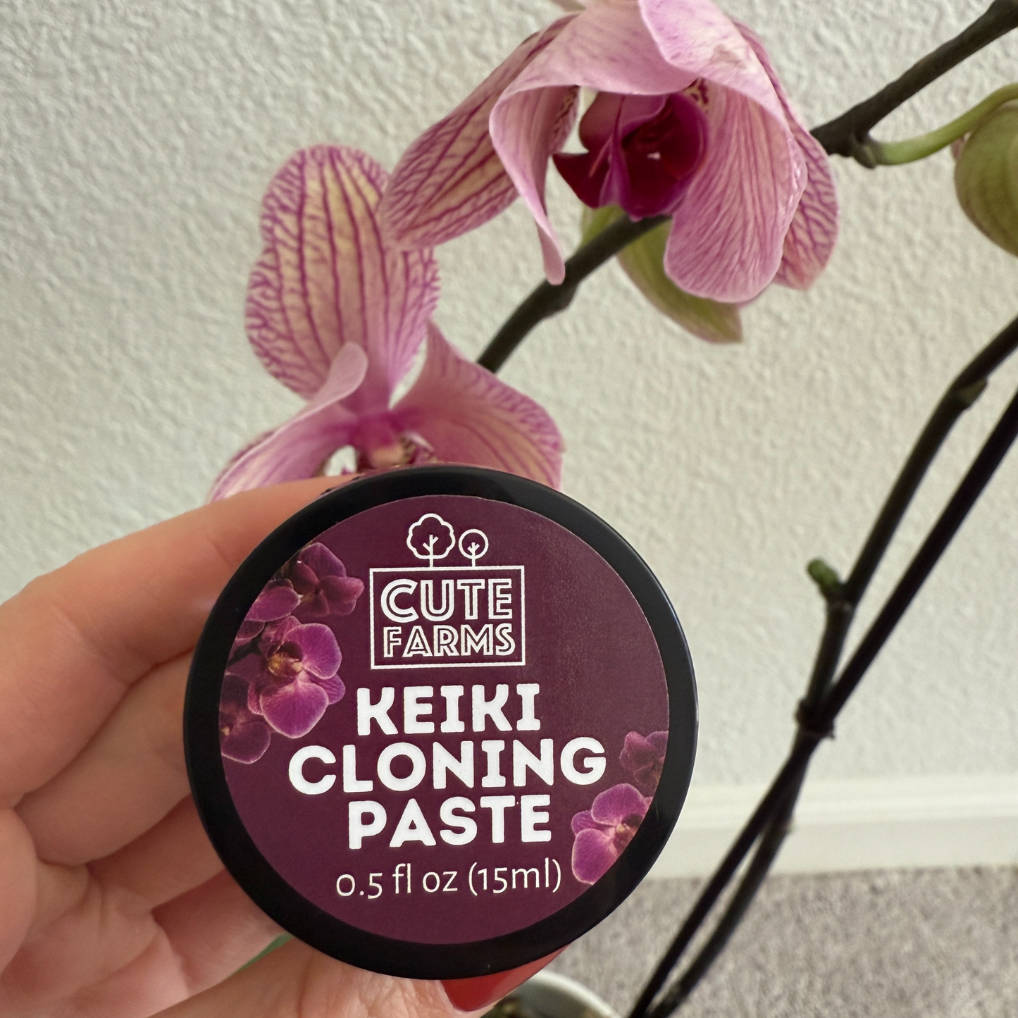Keiki Cloning Paste for Orchids & Houseplants