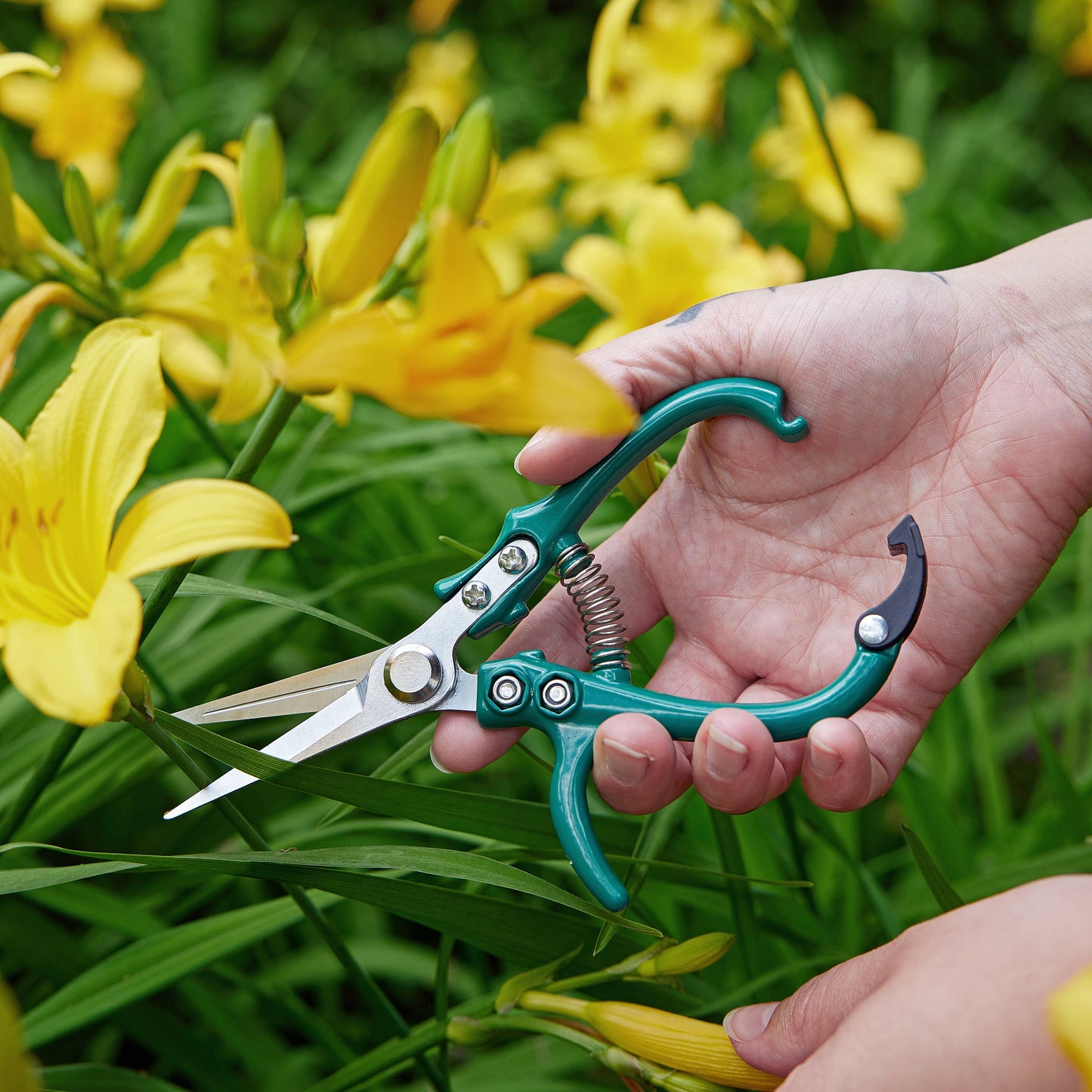 New Colors! Garden Shears