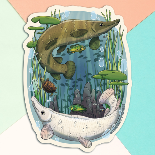 Alligator Gar Fish Sticker: 3 inch