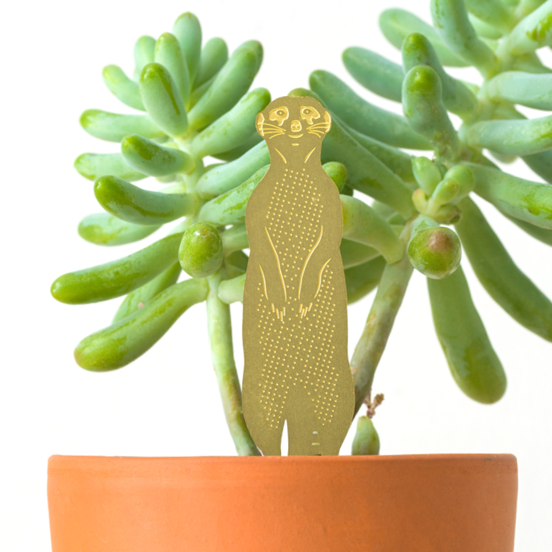 Plant Animal  Meerkat, terrarium and plant marker decoration