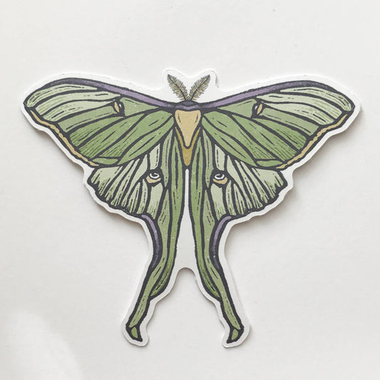 Luna Moth Paper Sticker