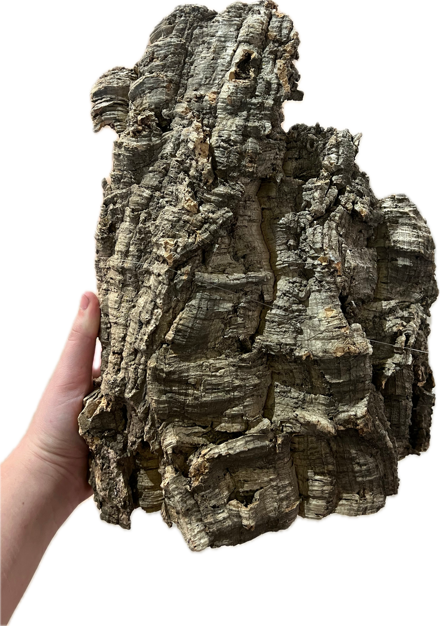 Xl Cork Bark Flat 22”+