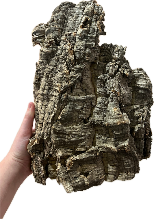 Xl Cork Bark Flat 22”+