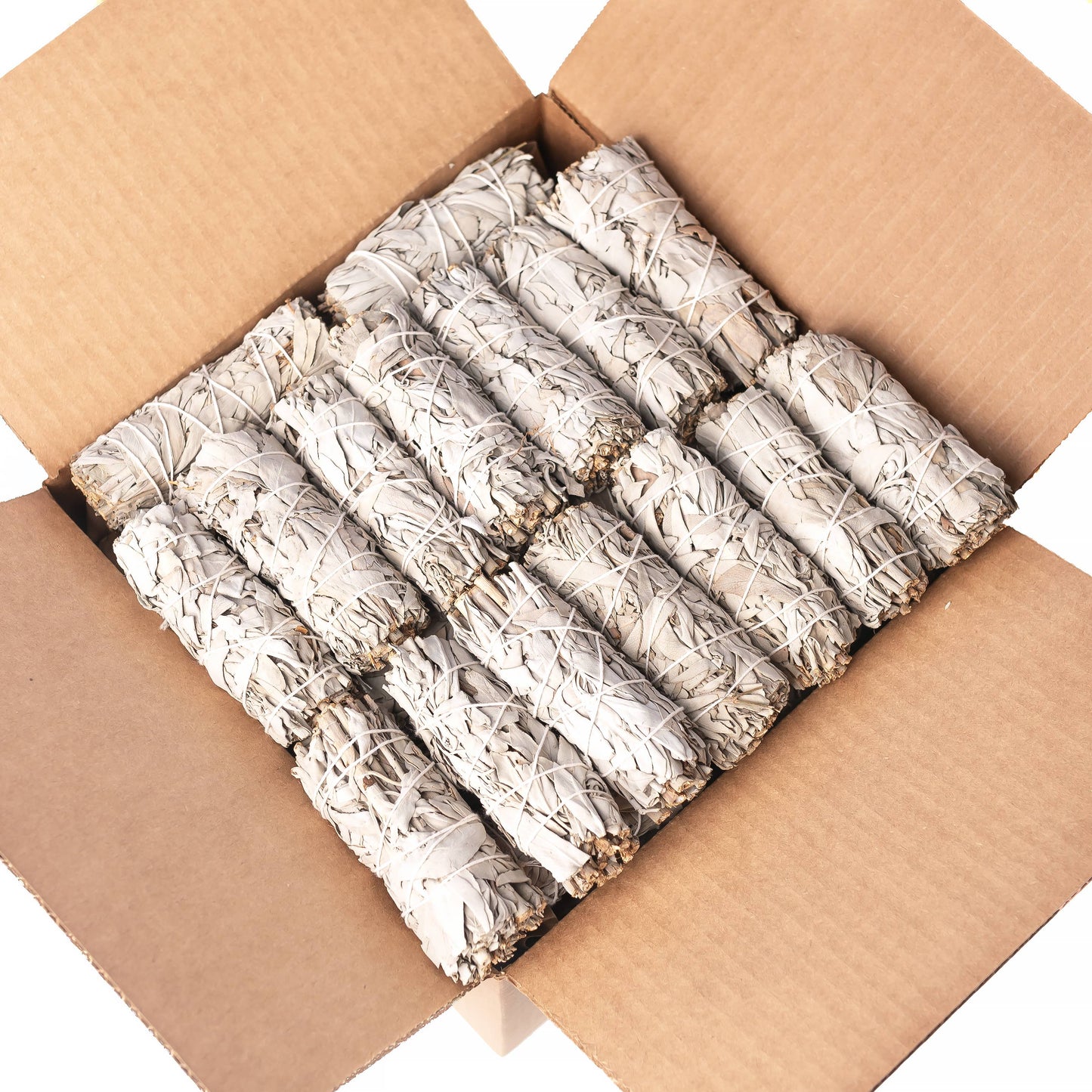 California White Sage (Salvia Apiana)