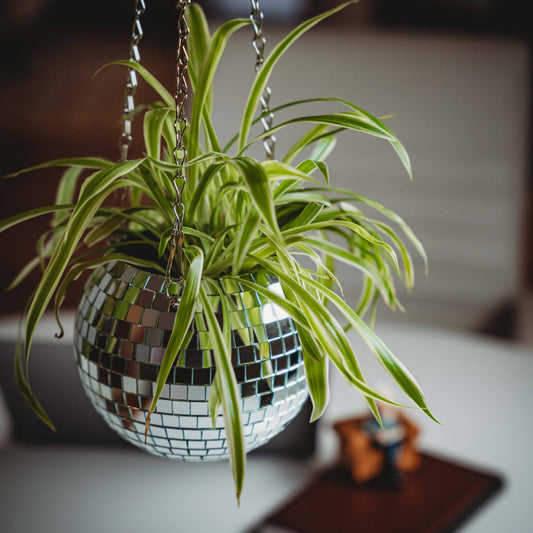 6" Disco Ball with Metal Wire Hanging
