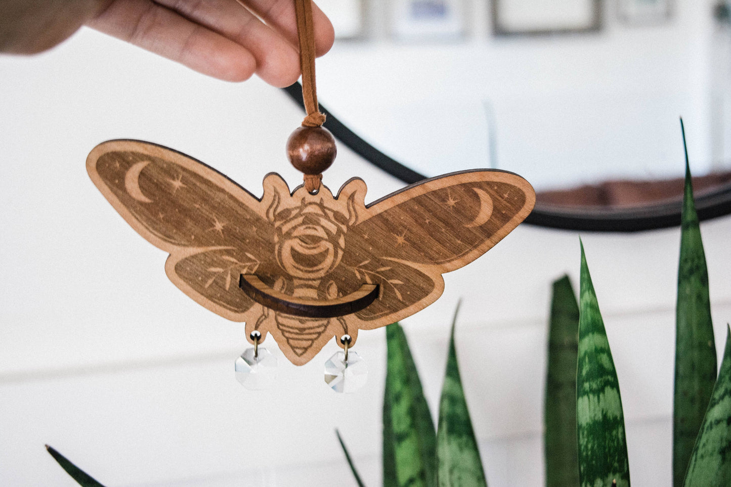 Cicada Airplant Holder Hanging Mini Suncatcher: Without Airplant / Stained Black