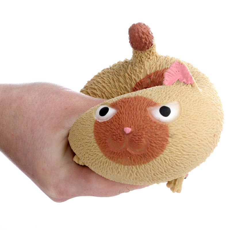 Squeezy Cat Toy