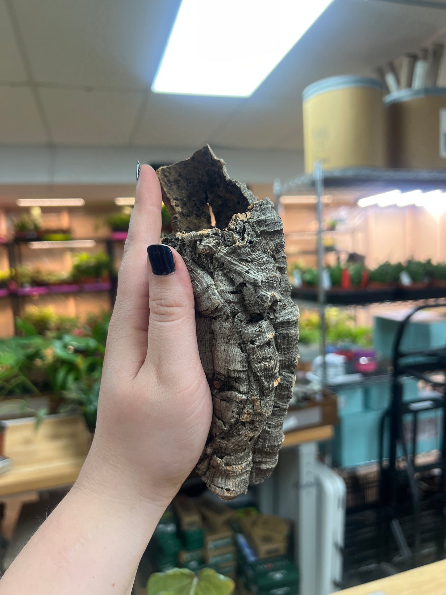 Cork Bark Tube- Small
