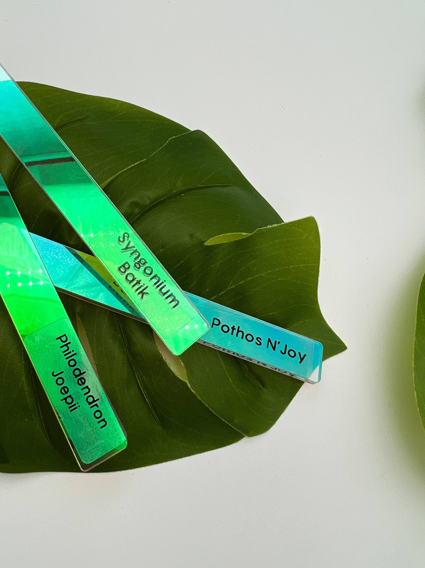 Iridescent Acrylic Plant Tags (Set of 25)