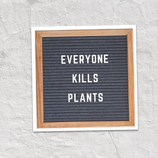 "Everyone Kills Plants" Sticker | Houseplant Sticker