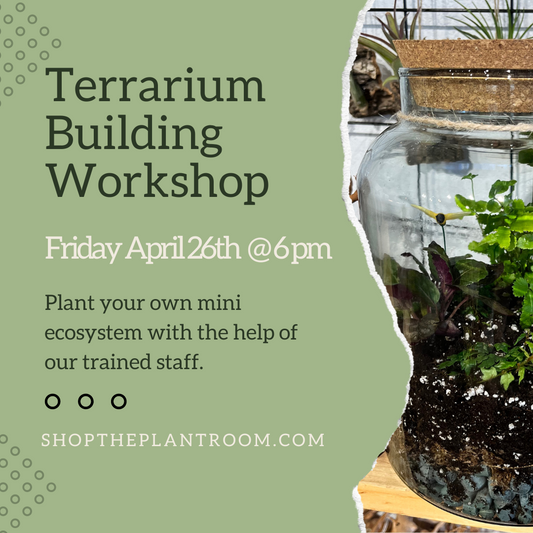 Terrarium Workshop | April 26th @ 6pm