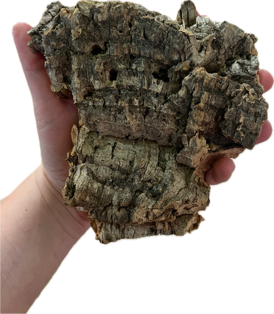 Small Cork Bark Flat 6”-10”