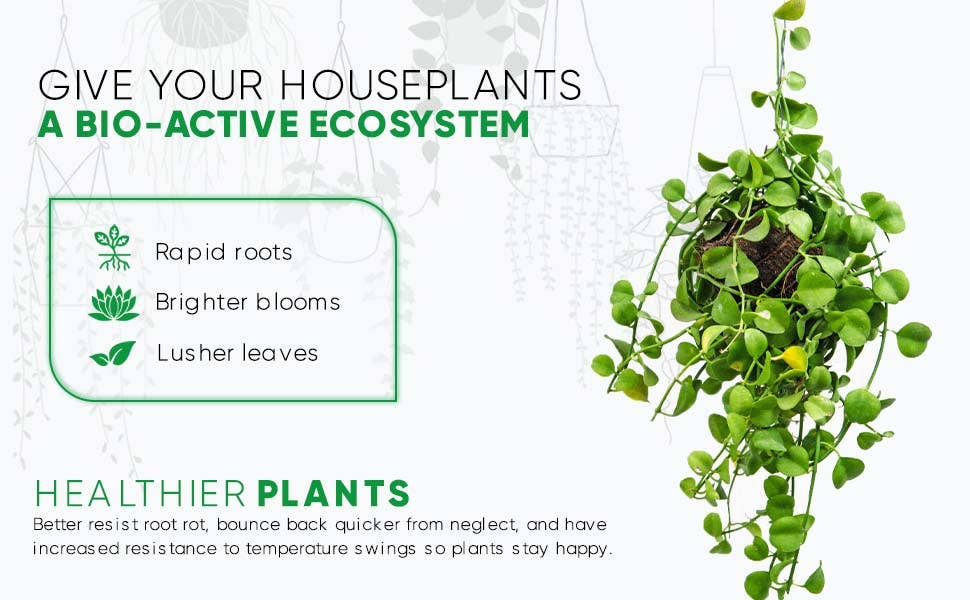 Noot Indoor Houseplant Liquid Organic Plant Food Fertilizer