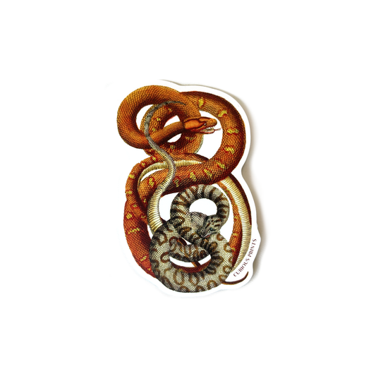 Vintage Snakes 1 Waterproof Sticker